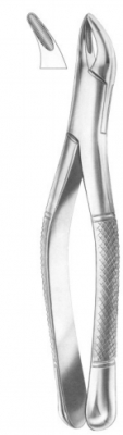  Fig. 7 upper roots 